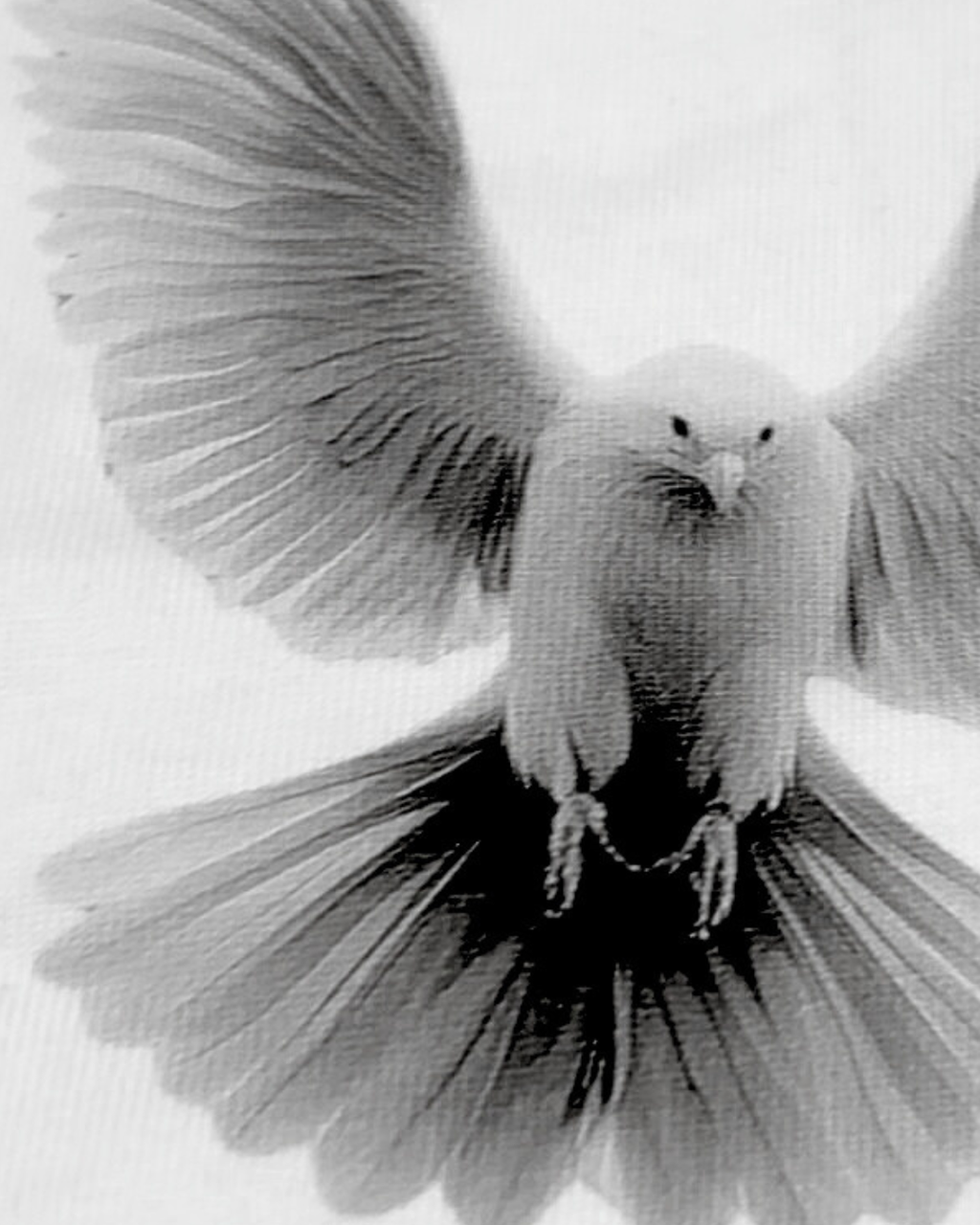 FAITH DEUX - LIGHT SMOKE - Oversized Tee